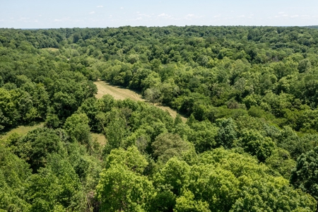 Farm for Sale in Lynnville, Tennessee - image 46