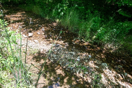 Farm for Sale in Lynnville, Tennessee - image 34