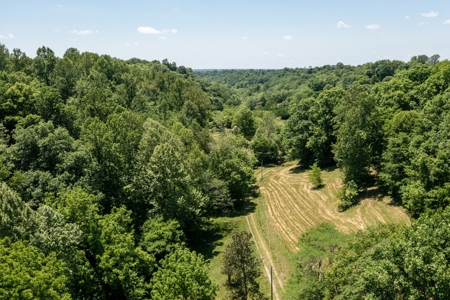 Farm for Sale in Lynnville, Tennessee - image 2