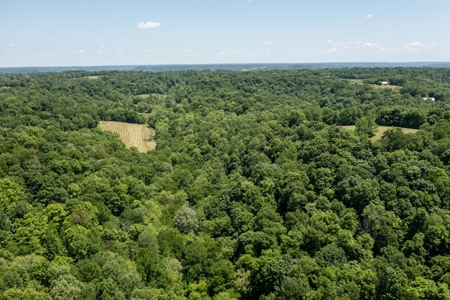 Farm for Sale in Lynnville, Tennessee - image 44