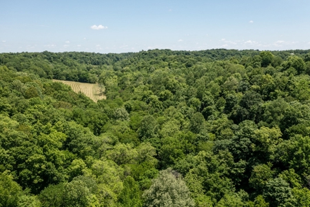 Farm for Sale in Lynnville, Tennessee - image 45