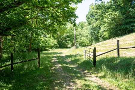 Farm for Sale in Lynnville, Tennessee - image 20