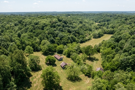 Farm for Sale in Lynnville, Tennessee - image 4