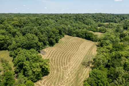Farm for Sale in Lynnville, Tennessee - image 43
