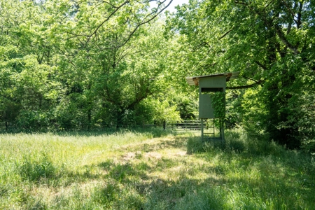 Farm for Sale in Lynnville, Tennessee - image 26