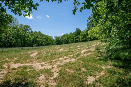 Farm for Sale in Lynnville, Tennessee - image 25