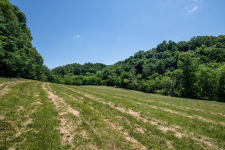 Farm for Sale in Lynnville, Tennessee - image 39
