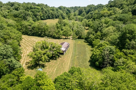 Farm for Sale in Lynnville, Tennessee - image 49