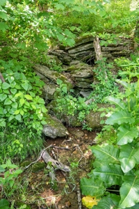 Farm for Sale in Lynnville, Tennessee - image 28