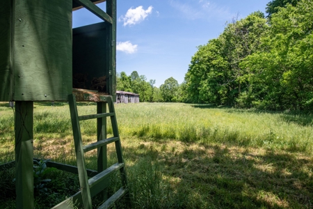 Farm for Sale in Lynnville, Tennessee - image 37