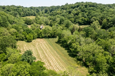 Farm for Sale in Lynnville, Tennessee - image 48