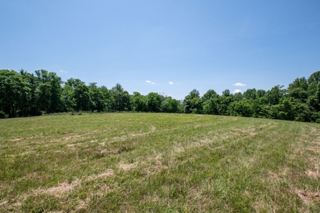 Farm for Sale in Lynnville, Tennessee - image 41