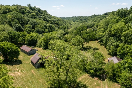 Farm for Sale in Lynnville, Tennessee - image 5
