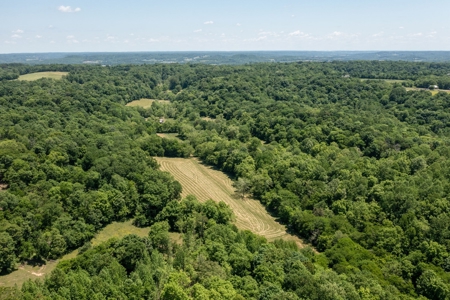 Farm for Sale in Lynnville, Tennessee - image 47
