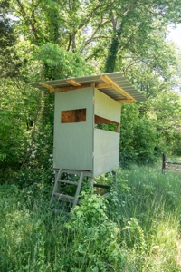 Farm for Sale in Lynnville, Tennessee - image 23