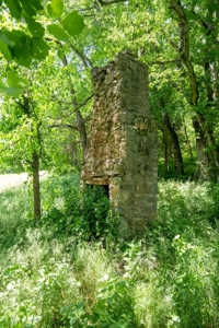 Farm for Sale in Lynnville, Tennessee - image 24