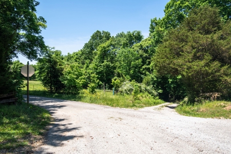 Farm for Sale in Lynnville, Tennessee - image 7