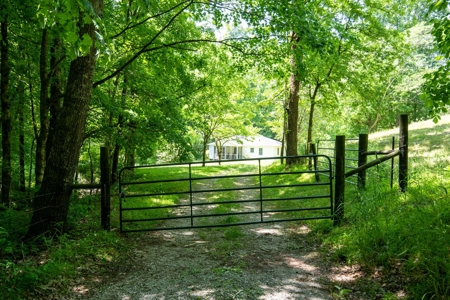 Farm for Sale in Lynnville, Tennessee - image 9