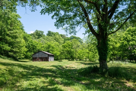 Farm for Sale in Lynnville, Tennessee - image 40