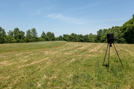 Farm for Sale in Lynnville, Tennessee - image 42