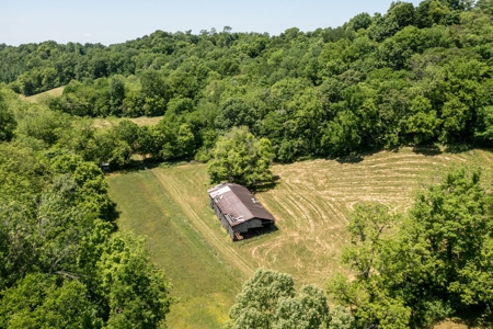 Farm for Sale in Lynnville, Tennessee - image 50