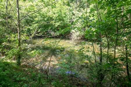 Farm for Sale in Lynnville, Tennessee - image 31