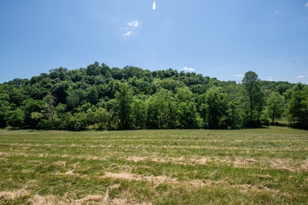 Farm for Sale in Lynnville, Tennessee - image 38