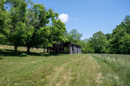 Farm for Sale in Lynnville, Tennessee - image 27