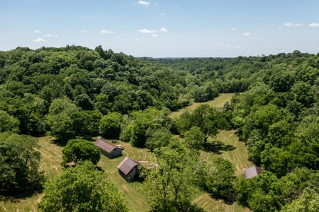 Farm for Sale in Lynnville, Tennessee - image 3