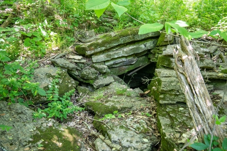 Farm for Sale in Lynnville, Tennessee - image 29