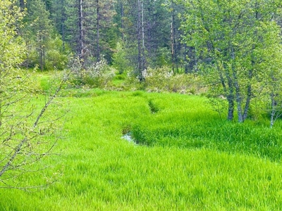 Montana Cabin In Heron For Sale - image 5