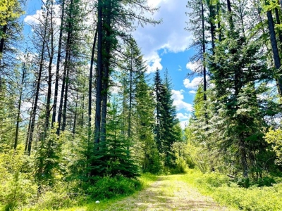 Montana Cabin In Heron For Sale - image 24