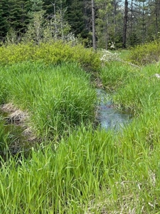 Montana Cabin In Heron For Sale - image 7