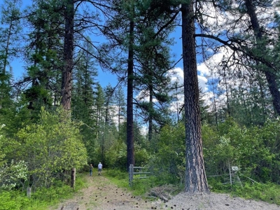 Montana Cabin In Heron For Sale - image 26