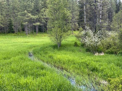 Montana Cabin In Heron For Sale - image 4
