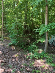 Tennessee Land for Sale with Marketable Timber, Benton Co TN - image 1