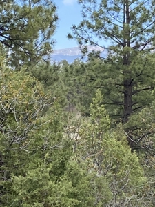 Lot For Sale, Easy Access Town, Log Hill, Ridgway, Colorado - image 2