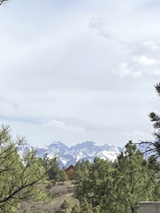Lot For Sale, Easy Access Town, Log Hill, Ridgway, Colorado - image 7