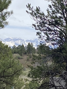 Lot For Sale, Easy Access Town, Log Hill, Ridgway, Colorado - image 1