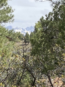 Lot For Sale, Easy Access Town, Log Hill, Ridgway, Colorado - image 8
