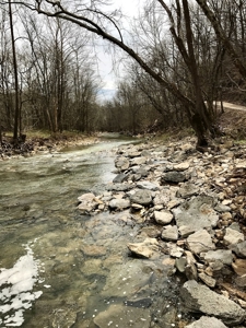 Country Home and 15 acres in Southeast Indiana - image 47