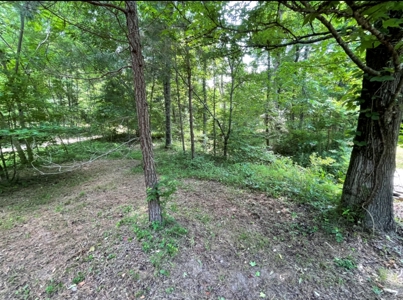 AUCTION Home on 18 +/- Acres & personal Property - image 24