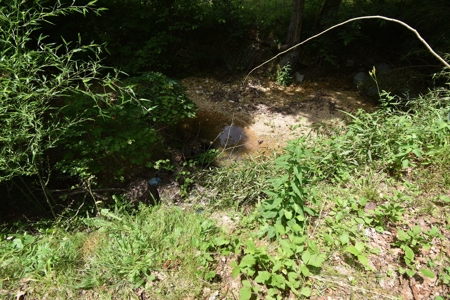 AUCTION Home on 18 +/- Acres & personal Property - image 5