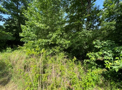AUCTION Home on 18 +/- Acres & personal Property - image 20