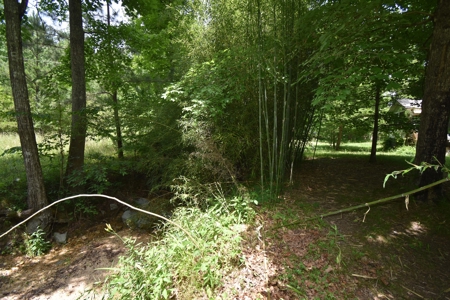 AUCTION Home on 18 +/- Acres & personal Property - image 12