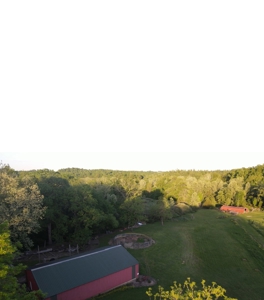 6-Br, 5-Ba Home On 92+ Acres Bordering National Forest - image 49