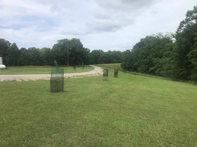 Arkansas Home/Acreage For Sale Near Bull Shoals Lake. - image 3