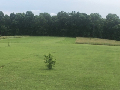 Arkansas Home/Acreage For Sale Near Bull Shoals Lake. - image 8