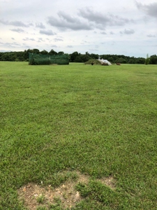 Arkansas Home/Acreage For Sale Near Bull Shoals Lake. - image 37