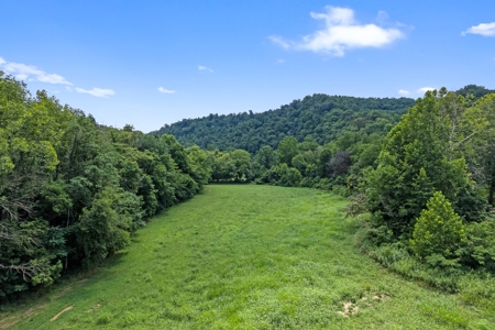 Tennessee Riverfront Property Great for Kayaking & Fishing - image 33